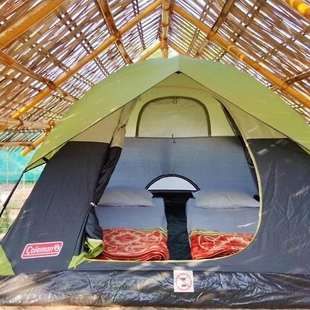 Tiger'S Wood Glamping & Eco-Retreat Hotel Kaziranga Luaran gambar