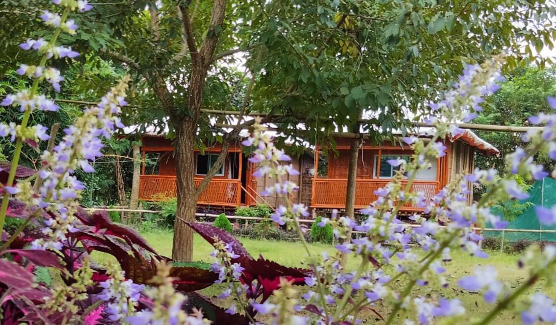 Tiger'S Wood Glamping & Eco-Retreat Hotel Kaziranga Luaran gambar