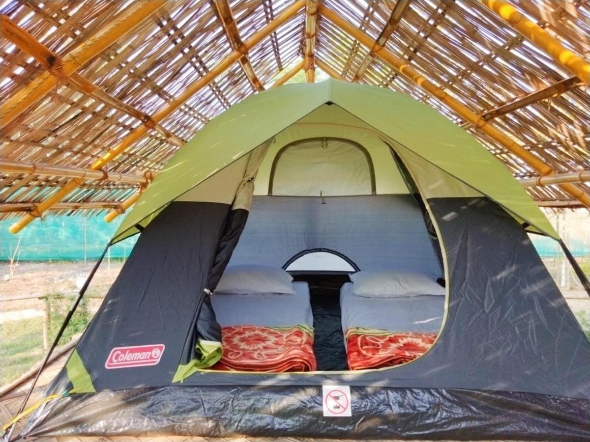 Tiger'S Wood Glamping & Eco-Retreat Hotel Kaziranga Luaran gambar