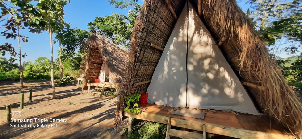 Tiger'S Wood Glamping & Eco-Retreat Hotel Kaziranga Luaran gambar