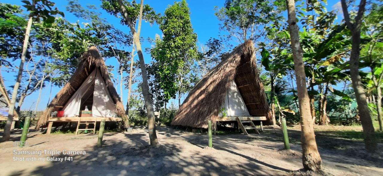 Tiger'S Wood Glamping & Eco-Retreat Hotel Kaziranga Luaran gambar