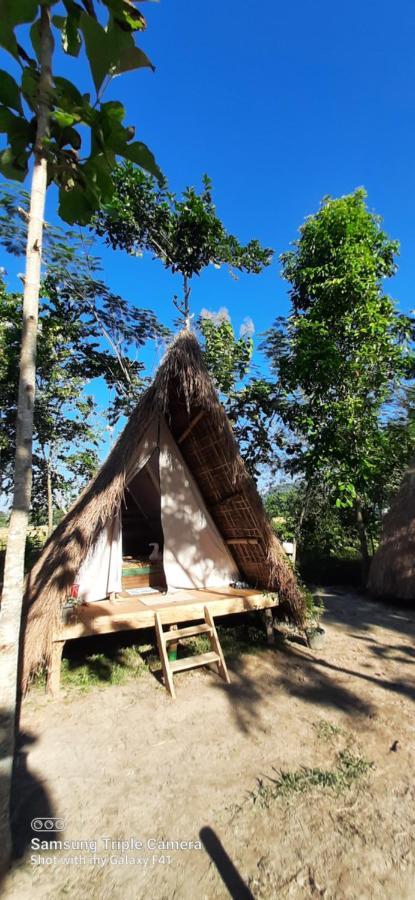 Tiger'S Wood Glamping & Eco-Retreat Hotel Kaziranga Luaran gambar