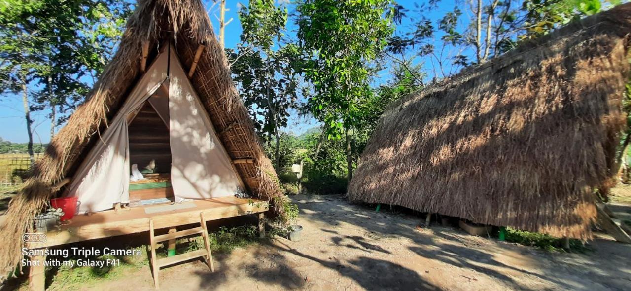 Tiger'S Wood Glamping & Eco-Retreat Hotel Kaziranga Luaran gambar