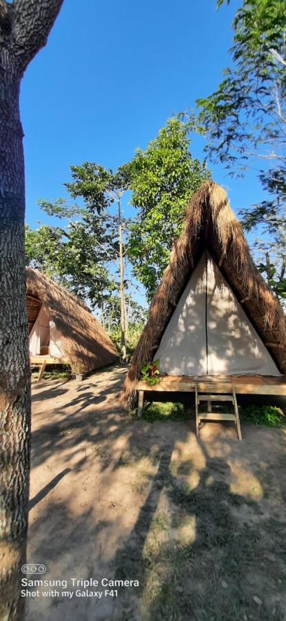 Tiger'S Wood Glamping & Eco-Retreat Hotel Kaziranga Luaran gambar