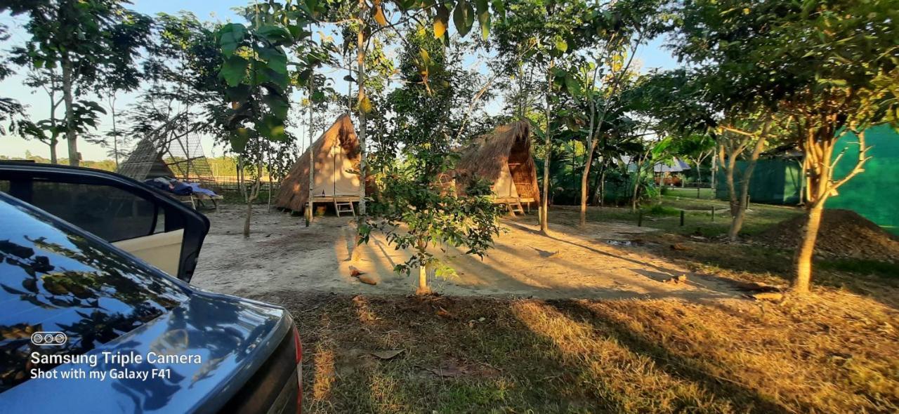 Tiger'S Wood Glamping & Eco-Retreat Hotel Kaziranga Luaran gambar