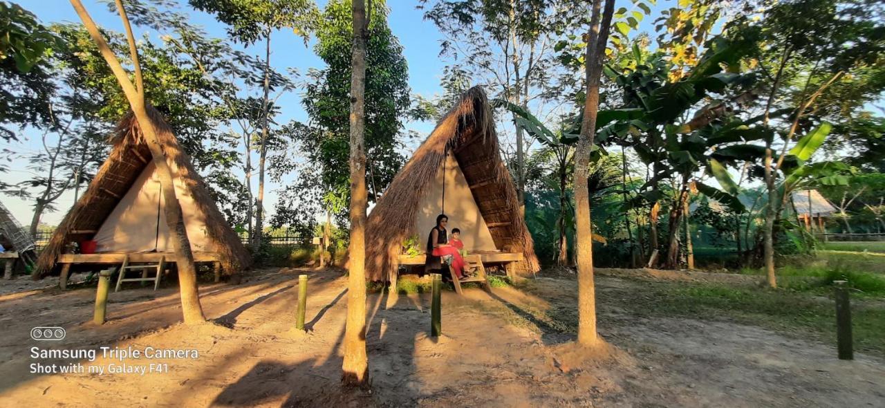 Tiger'S Wood Glamping & Eco-Retreat Hotel Kaziranga Luaran gambar