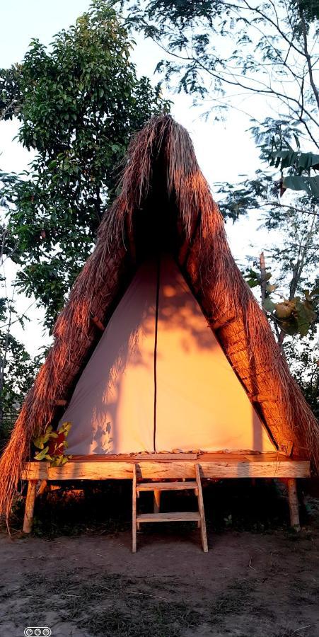 Tiger'S Wood Glamping & Eco-Retreat Hotel Kaziranga Luaran gambar